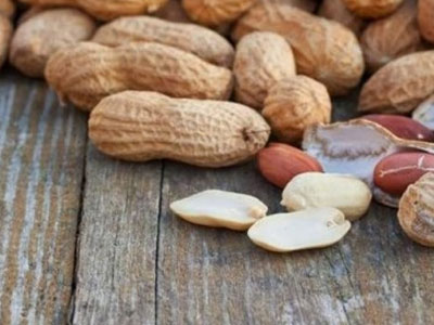 Τα παιδιά που τρώνε φυστίκια από μωρά, δεν παθαίνουν αλλεργία